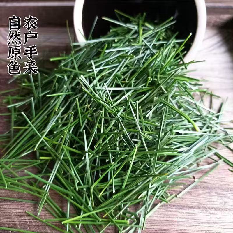 Pine Needle Tea (Pinus massoniana) — Dried Green Pine Needles, 500g Bag - Image 3