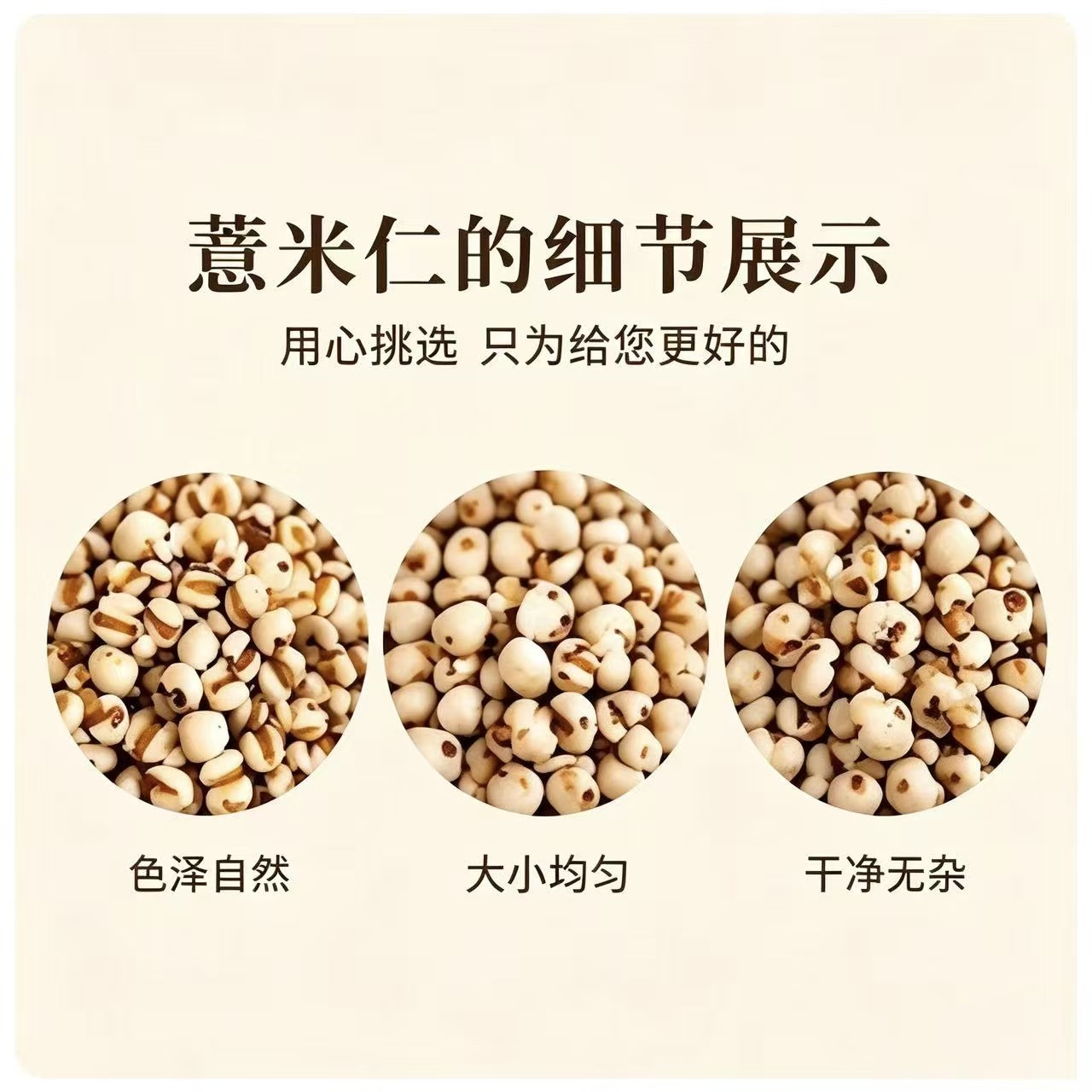 Coix Seed Yi Yi Ren 1000g Dried Job's Tears Whole Grain for Cooking and Herbal Soup - Image 4