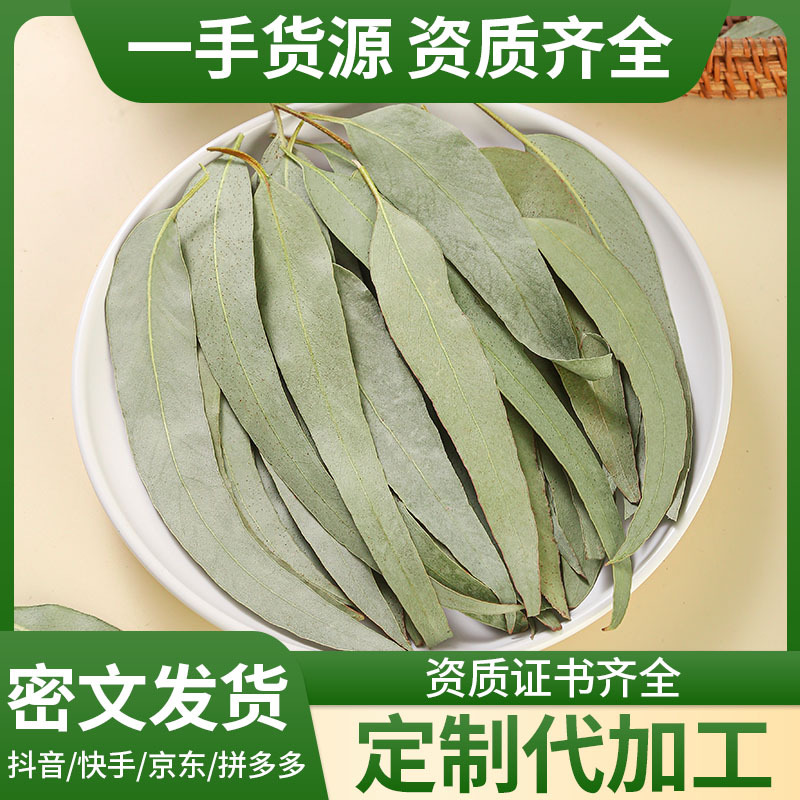 Eucalyptus Leaves (Eucalyptus globulus) — Dried Blue Gum Leaf for Sachets & Herbal Blends - Image 2
