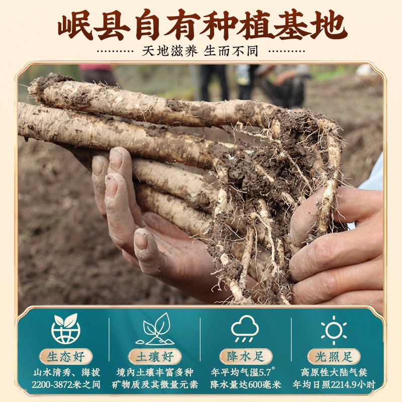 Dried Astragalus Root Slices 250g Huang Qi for Tea and Soup - Image 4