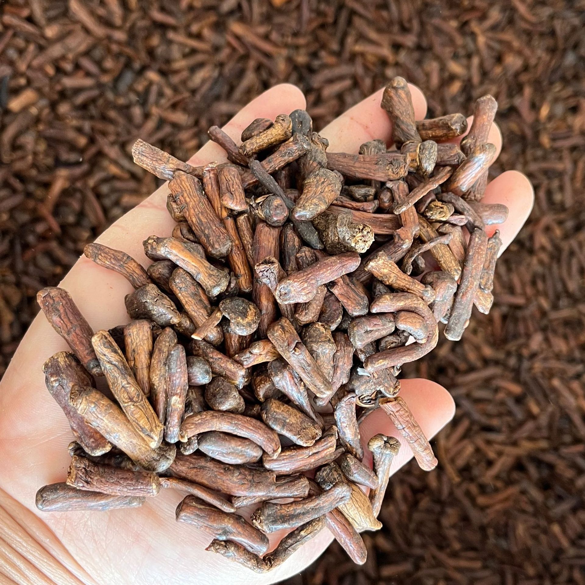 Dandelion Root (Taraxacum officinale) — Roasted Changbai Mountain Pugongying Gen Tea, 500g - Image 2