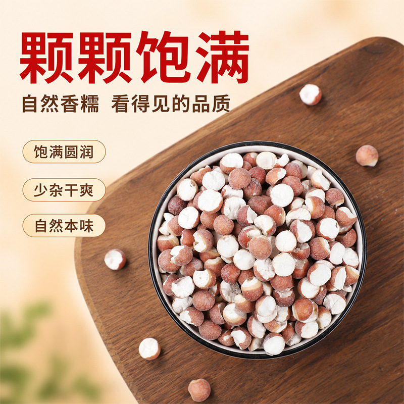 Organic Dried Gorgon Fruit Qian Shi 12mm Large Granules 500g Premium Red Skin Euryale Seeds - Image 4