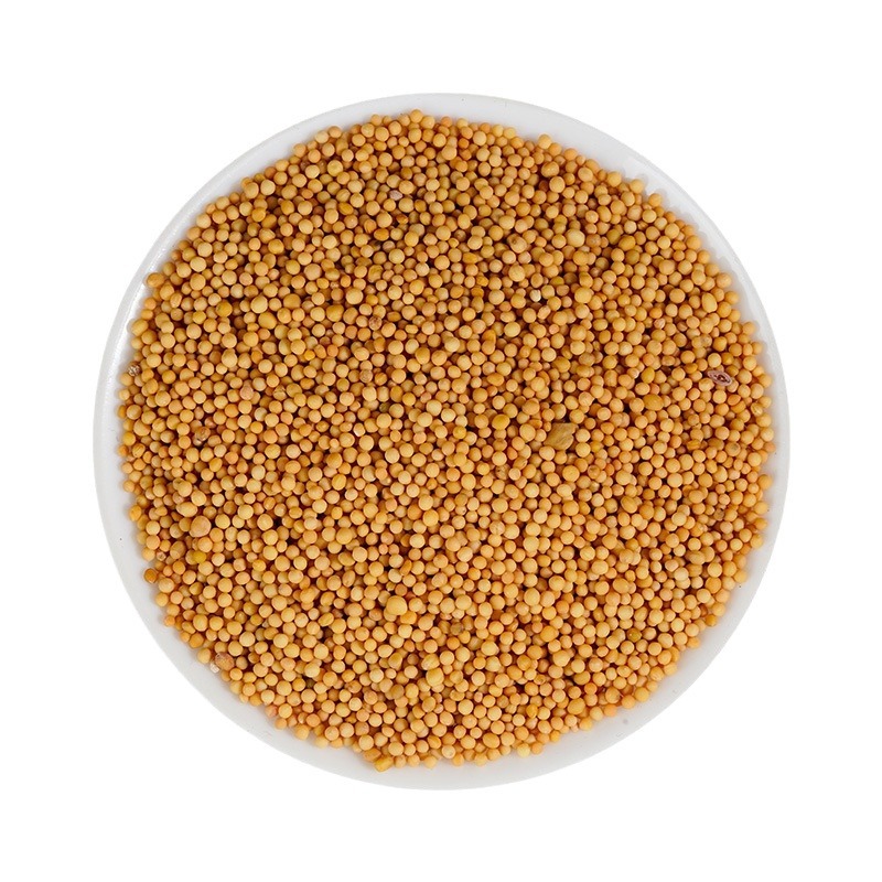 Bai Jie Zi Powder (Sinapis alba) — White Mustard Seed Herbal Powder, 500g - Image 5