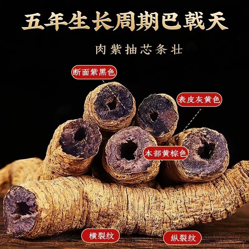 Morinda Root Ba Ji Tian 巴戟天 Dried Herb 500g for Traditional TCM Decoction and Herbal Wine - Image 3