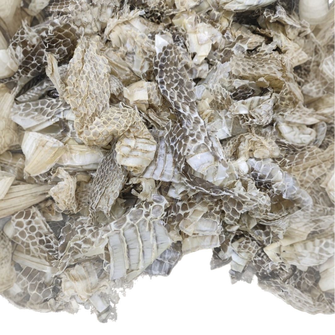 She Tui (Snake Slough) — Dried Shed Snake Skin, Traditional Chinese Herb, 500g - Image 5