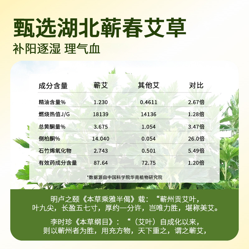 Qiai Mugwort Foot Patches Herbal Warm Foot Care Patches for Sleep Relaxation External Use - Image 2