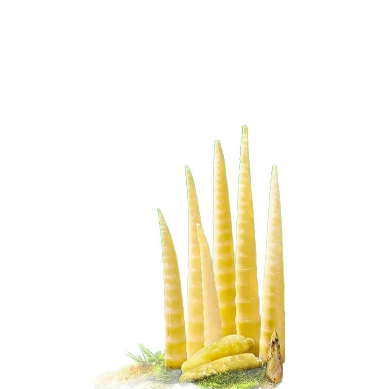 Pickled Bamboo Shoot Tips Sour Spicy Ready to Eat Snack 7 Bags 3500g - Image 5