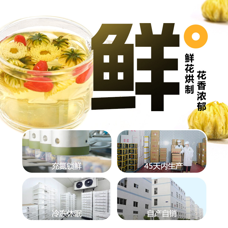 Tai Ju Chrysanthemum Tea Buds 90g Can Dried Taiju Herbal Flower Tea from Zhejiang Tongxiang - Image 3