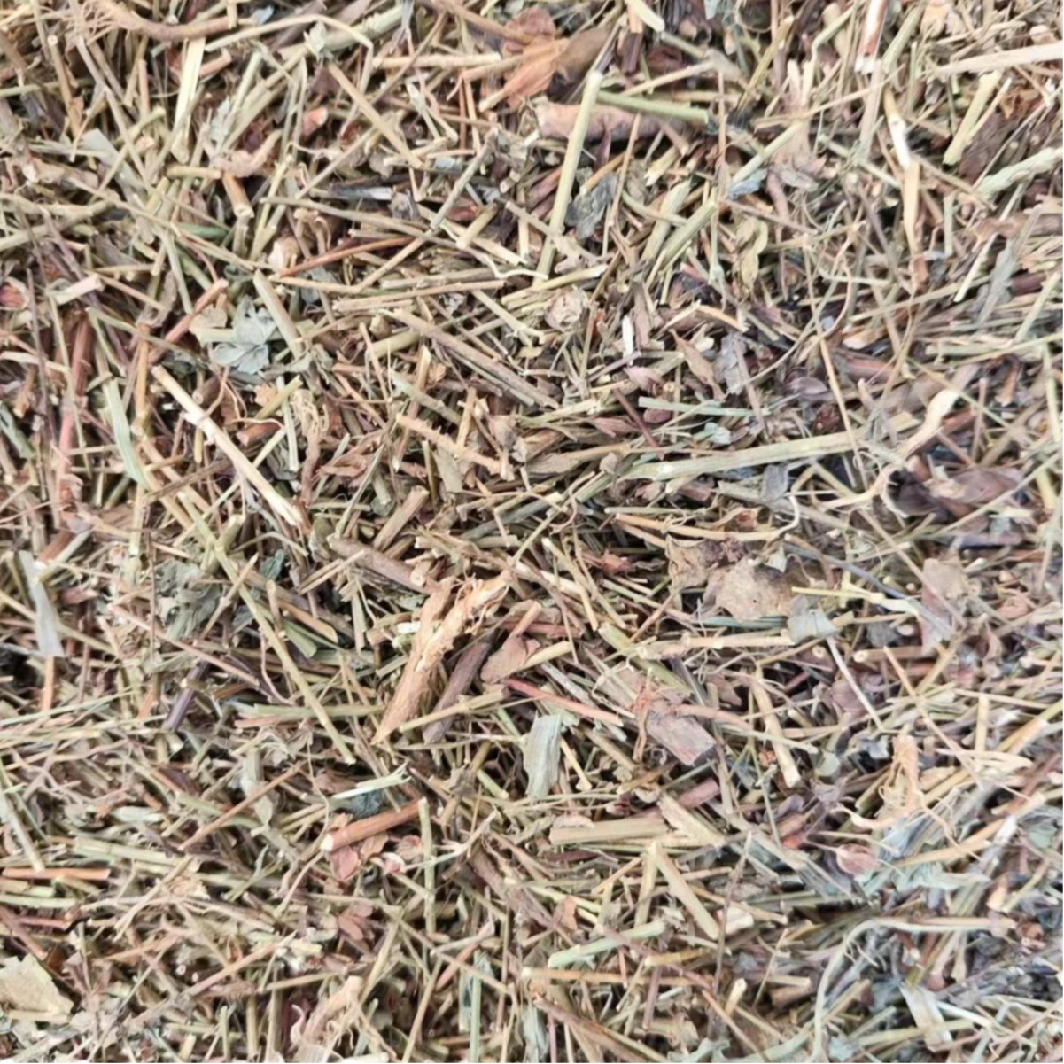 Tian Ji Huang (Hypericum japonicum) — Dried Food Herb, 500g, Custom Grinding Available - Image 5