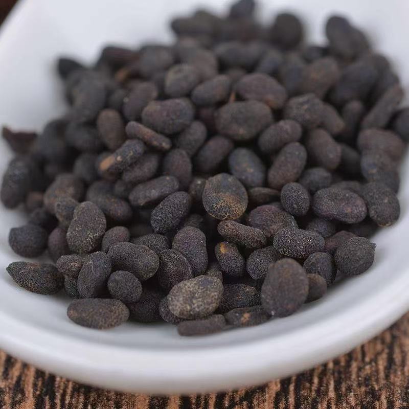 Bu Gu Zhi Psoralea Fruit Powder 500g Traditional Chinese Herb for Decoction and Wine Infusion - Image 3