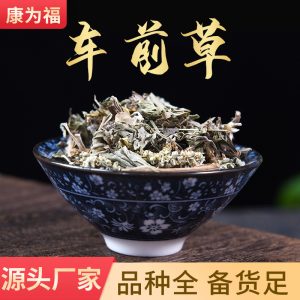 Plantain Herb Powder (Plantago asiatica) — Che Qian Cao Botanical Powder, 500g