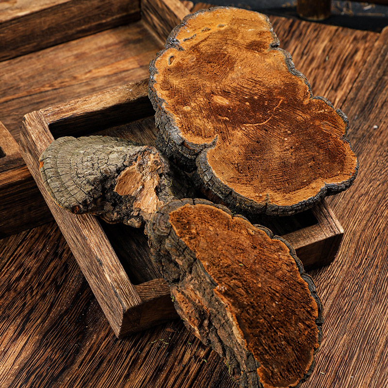 Sang Huang (Sanghuangporus sanghuang) — Wild-Grown Tibetan Medicinal Mushroom, Sulfur-Free, Custom Milling - Image 4