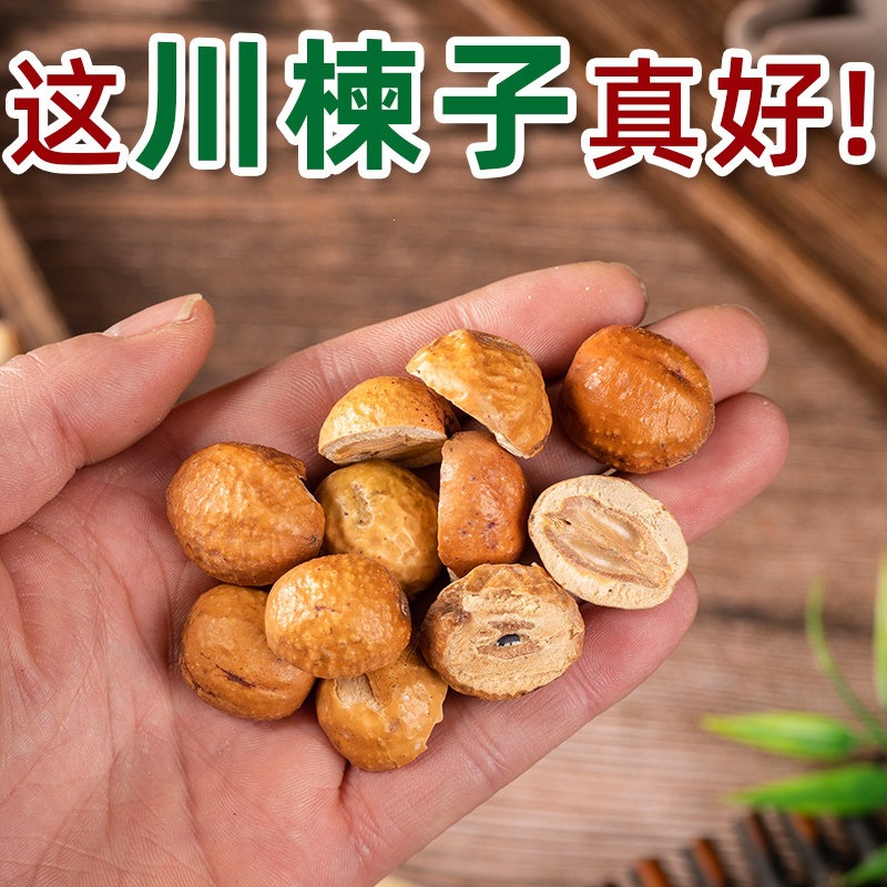 Chuan Lian Zi Dried Toosendan Fruit Sichuan Chinaberry Fruit Traditional TCM Herb 250g - Image 2