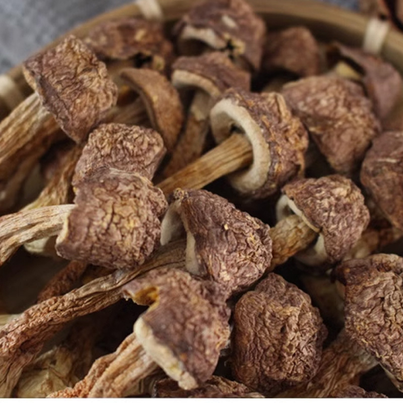 Ji Song Rong (Agaricus blazei) Dried Mushroom — Yunnan Soup Ingredient, 500g - Image 2