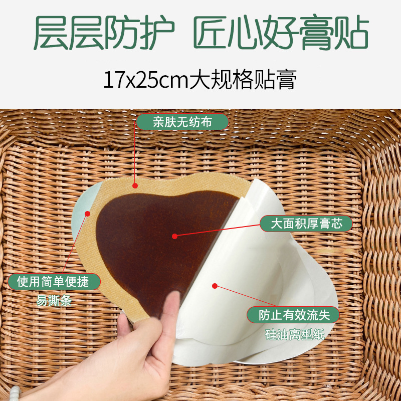 Lumbar Herbal Patch 17x25cm External Topical Paste for Waist Comfort Traditional Chinese Herbal Formula - Image 4
