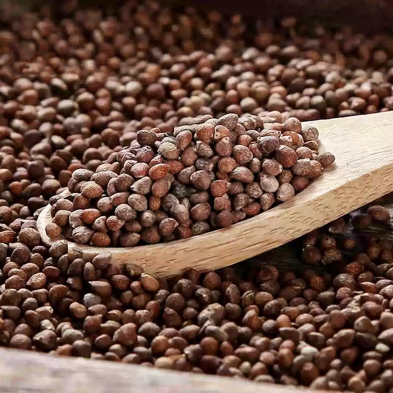 Perilla Seed Zi Su Zi 500g Dried Fructus Perillae for Tea Wine and Culinary Use - Image 3