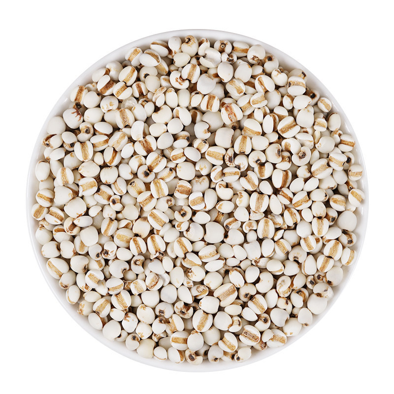 Premium Coix Seed Yi Yi Ren 500g Dried Job's Tears for Food and Herbal Use - Image 5