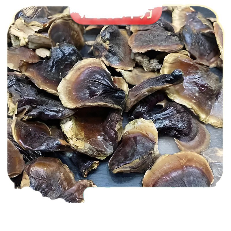 Small Gold-Rim Reishi Mushroom Slices Ling Zhi for Tea and Soup - Image 5