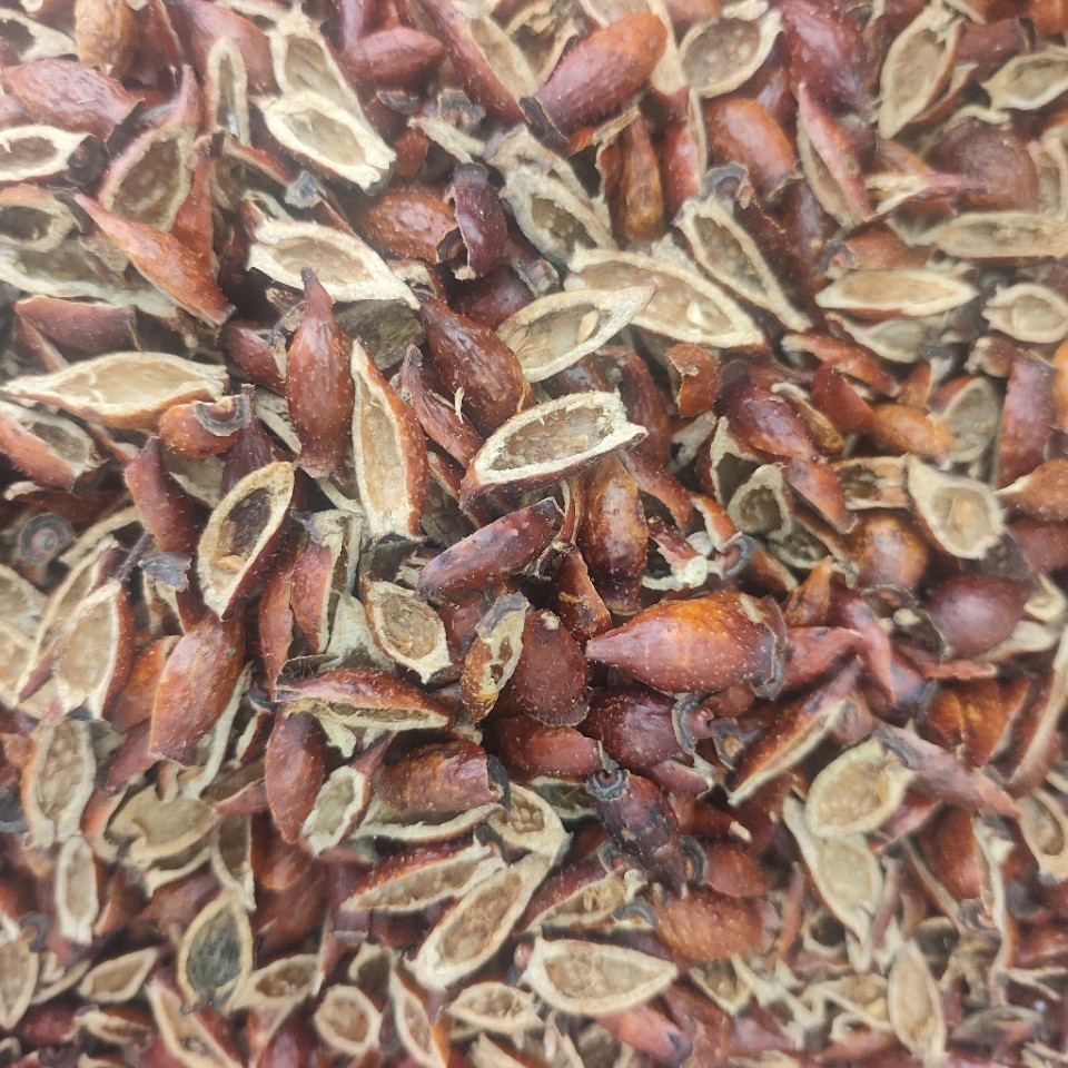 Dried Cherokee Rose Fruit Jin Ying Zi 500g Hand Seeded Slices for Tea Wine and Soup - Image 4