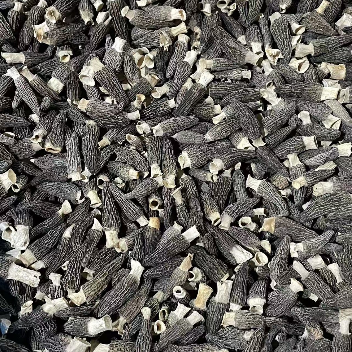 Dried Morel Mushroom 4-6cm Premium Grade Yunnan Soup Ingredient 50g Bag - Image 4