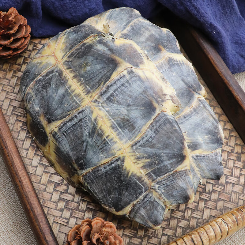 Raw Tortoise Plastron Gui Ban 500g Dried Turtle Shell Traditional Chinese Herbal Material - Image 5