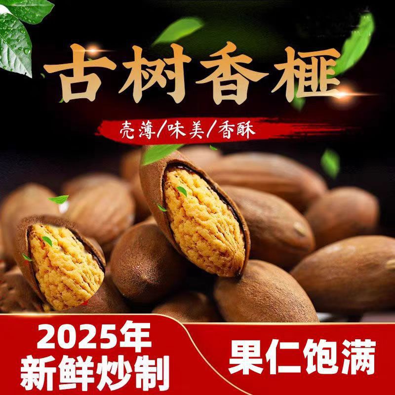 Torreya Seeds Xiang Fei Zi Dried Chinese Herbal Snack 100g Canister - Image 2