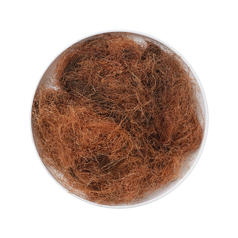 Dried Corn Silk Yu Mi Xu 500g Farm Fresh Sun Dried Herbal Tea Ingredient - Image 5