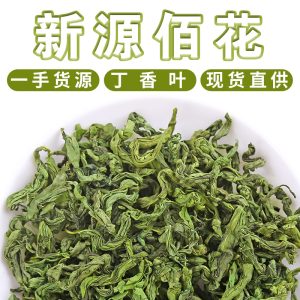 Changbai Mountain Clove Leaf Tea (Syzygium aromaticum) — Loose Leaf Herbal Tea, 500g