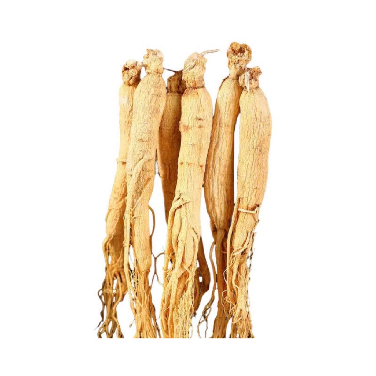 Changbai Mountain 10-Year Fresh Ginseng (Panax ginseng) — 500g for Soup & Wine - Image 4