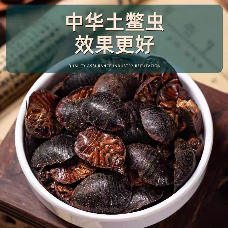 Tu Yuan (Eupolyphaga sinensis) — Dried Ground Beetle Herb, 500g Food-Grade - Image 3