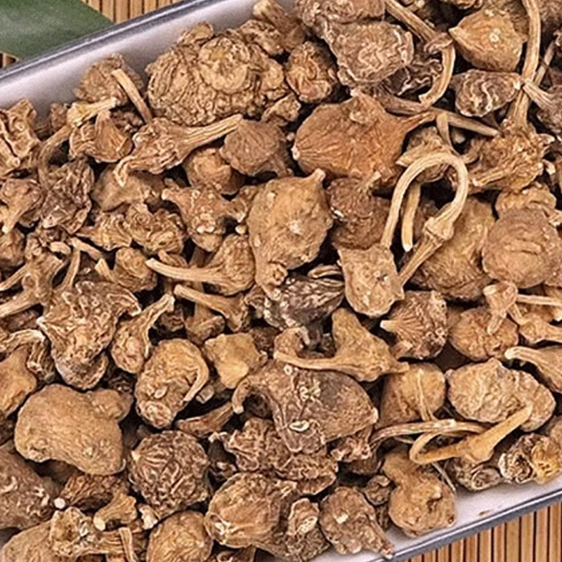Zhu Zi Shen (Panax japonicus var. major) — Dried Rhizome Pieces, Food Herb for Tea & Soup - Image 3