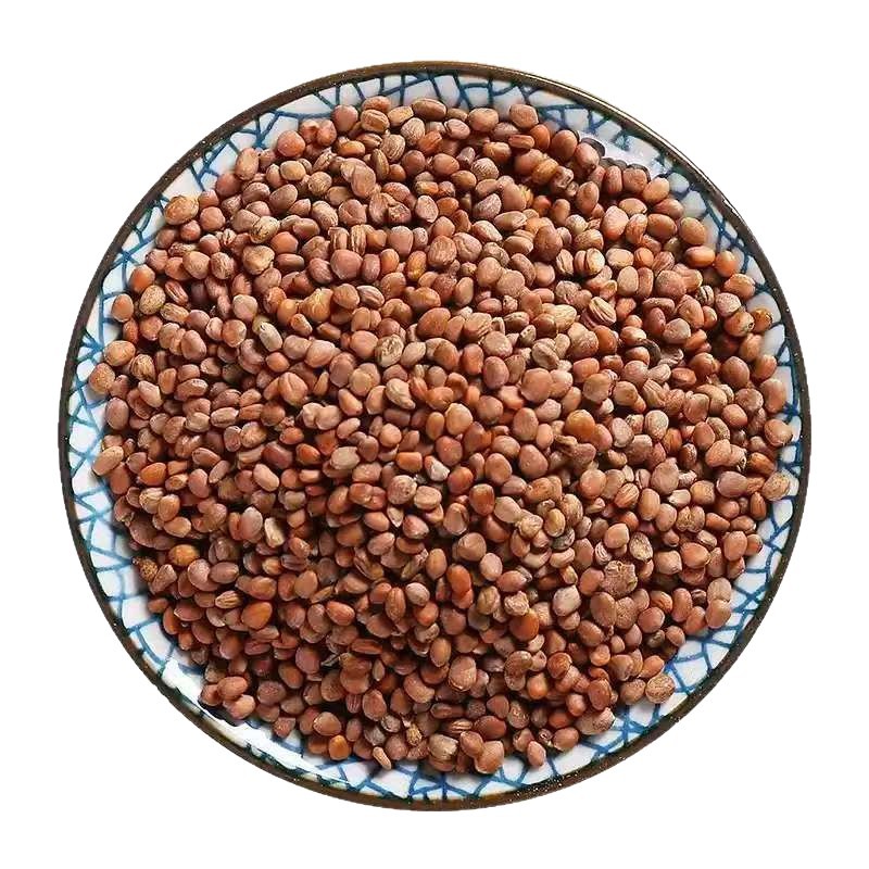 Lai Fu Zi (Semen Raphani) — Roasted Radish Seed for Herbal Tea & Decoction, 500g - Image 5