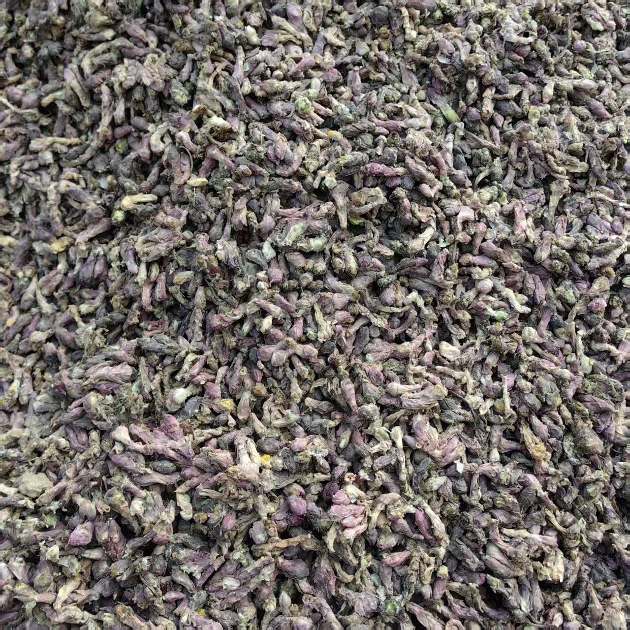Dried Tussilago Flower Bud Kuan Dong Hua Tussilago farfara Traditional Chinese Herb 500g Sulfur-Free - Image 4