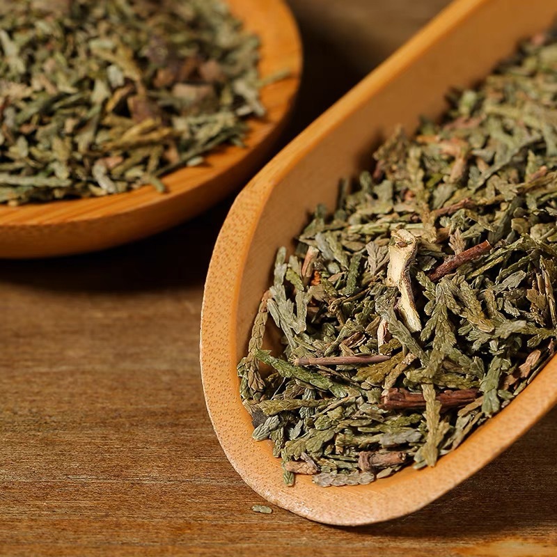 Dried Cacumen Platycladi Leaves Ce Bai Ye 500g Sun Dried Oriental Arborvitae Foliage for Herbal Tea and Decoction - Image 3