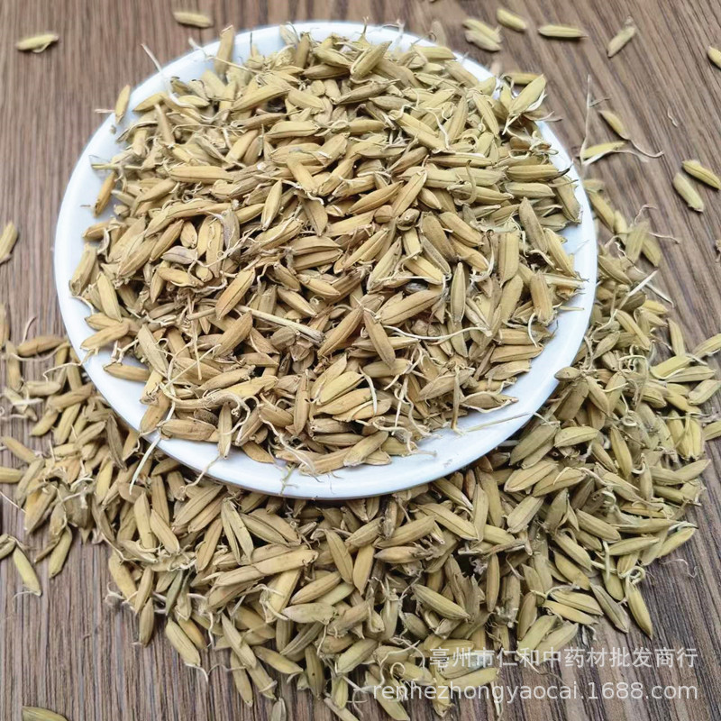 Dried Rice Sprout Dao Ya Whole Sprouted Grain Raw Herb for Decoction and Tea - Image 4