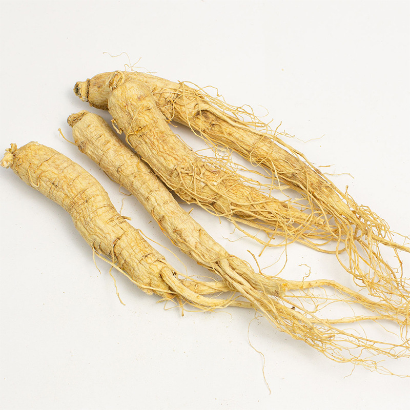 Ginseng Root Slices Ren Shen Panax ginseng Dried Cut Herb for Tea and Decoction - Image 3