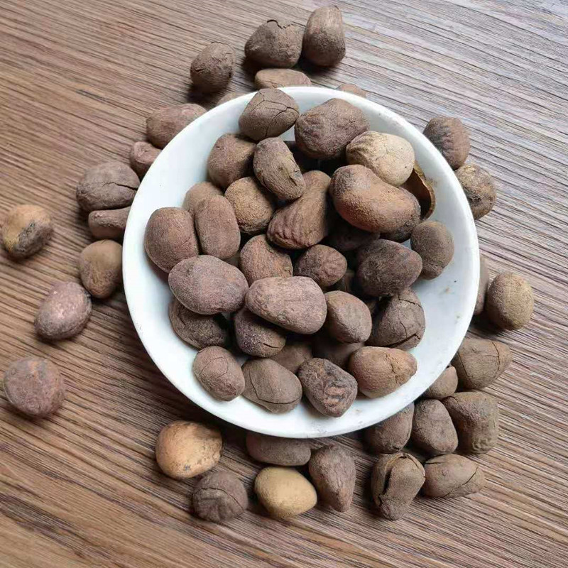 Dried Chaulmoogra Seeds Da Feng Zi 大枫子 Whole Herb Bulk Supply - Image 4