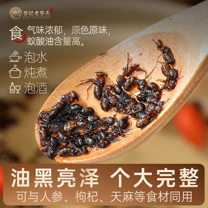 Changbai Mountain Black Ant Dried Whole Ants Traditional Herbal Use 170g - Image 3