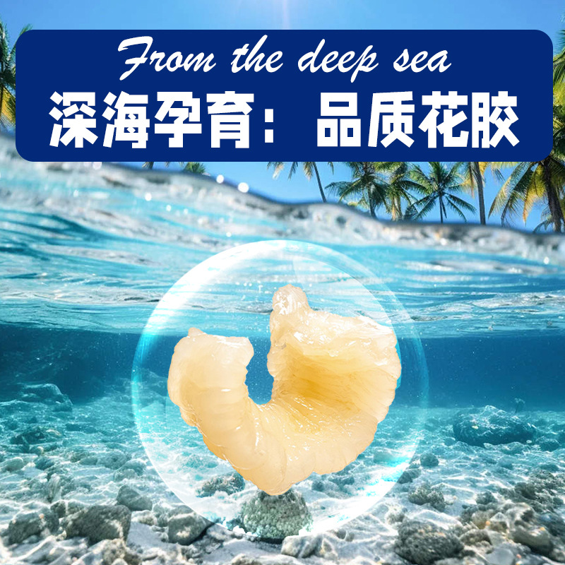 Ready to Eat Fish Maw Hua Jiao Nourishing Dessert Bowl 168g - Image 3