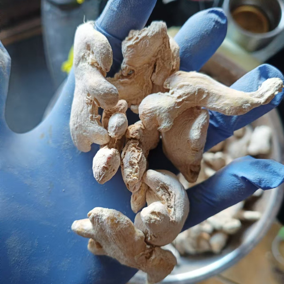 Dried Ginger Root Blocks Whole Dried Ginger for Herbal Tea Soup and Daily Decoction 500g - Image 3