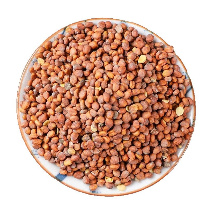Dried Radish Seed Lai Fu Zi 500g Raw Herb for Decoction and Culinary Use - Image 5