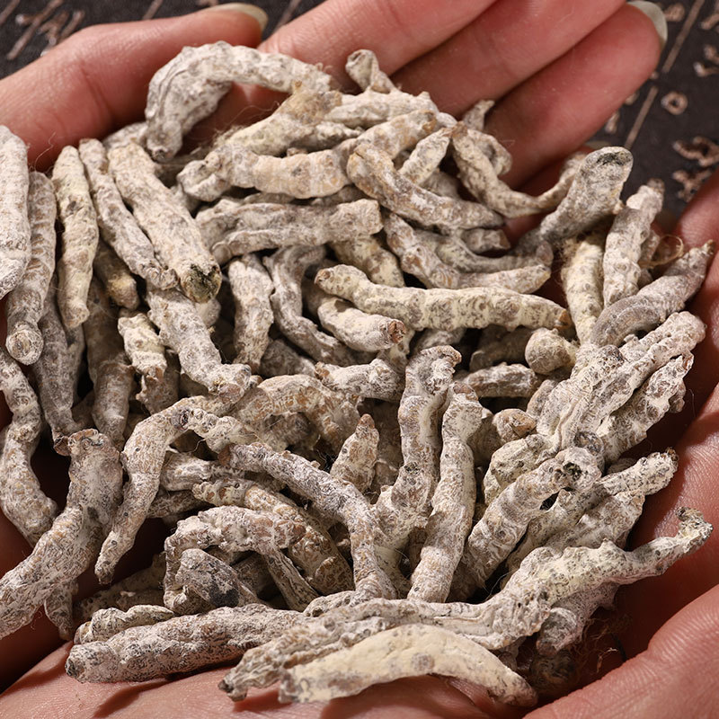White Silkworm Jiang Can 500g Dried Bombyx Batryticatus Traditional Chinese Herb for Decoction - Image 4
