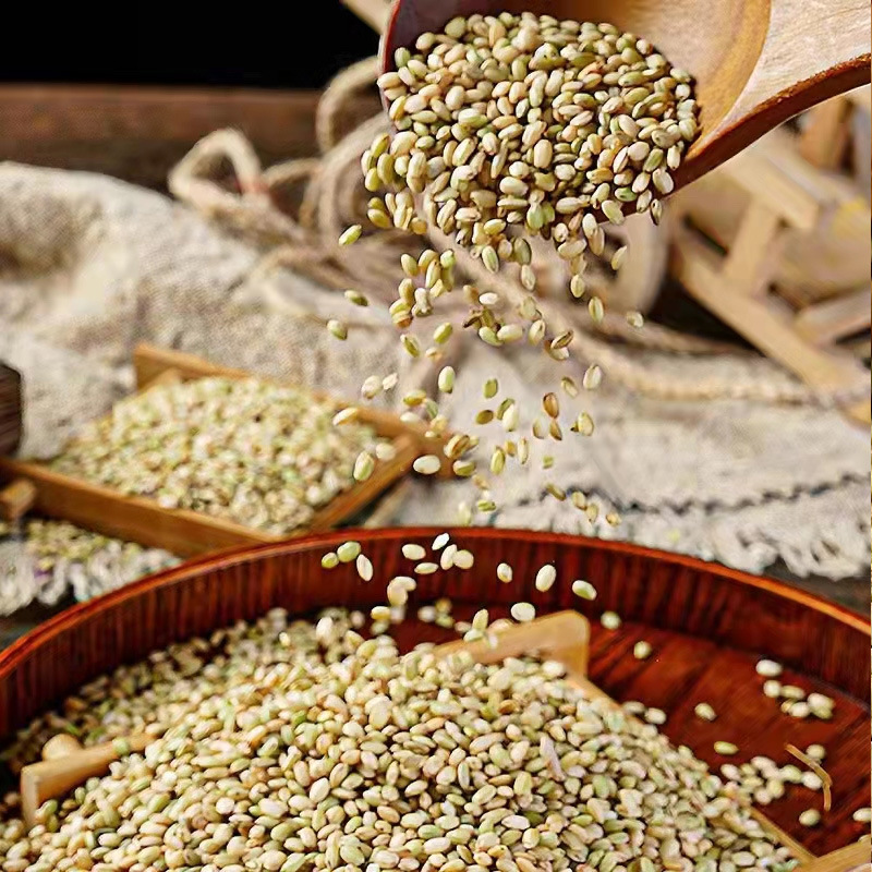 Green Rice & Five Grain Mix (Oryza sativa) — Red Yeast Rice, Black Rice, Red Rice Whole Grains - Image 4