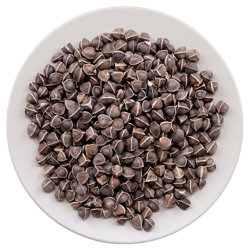 Moringa Seeds La Mu Zi Large Dark Whole Seeds Traditional Herbal Snack Sealed Bag - Image 5
