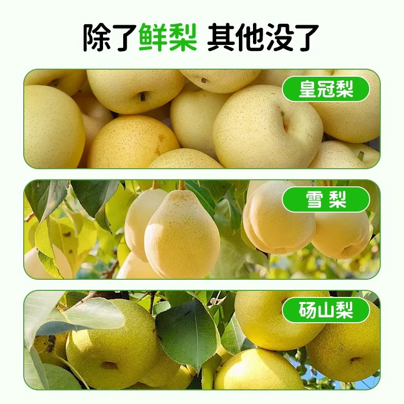 Pure Pear Paste 100g Stick Pack Traditional Slow Simmered Dangshan Pear Syrup for Daily Wellness - Image 2