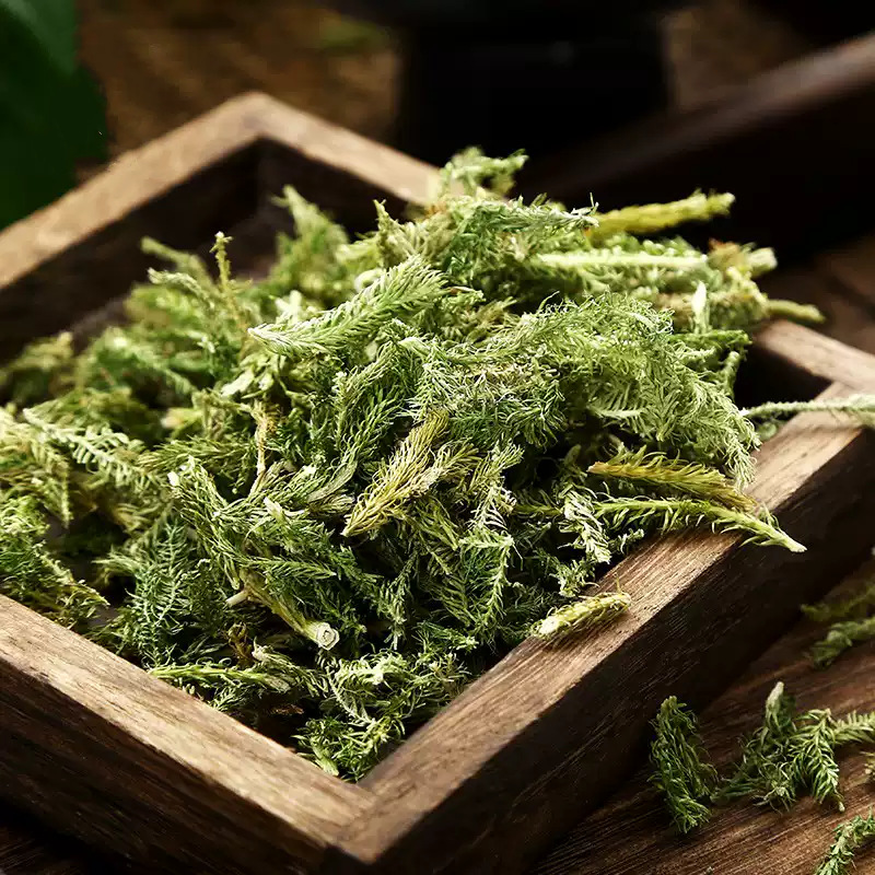 Dried Shen Jin Cao 伸筋草 Lycopodium Herb 500g Natural Sun Dried Sichuan Origin for Decoction and Foot Soak - Image 4