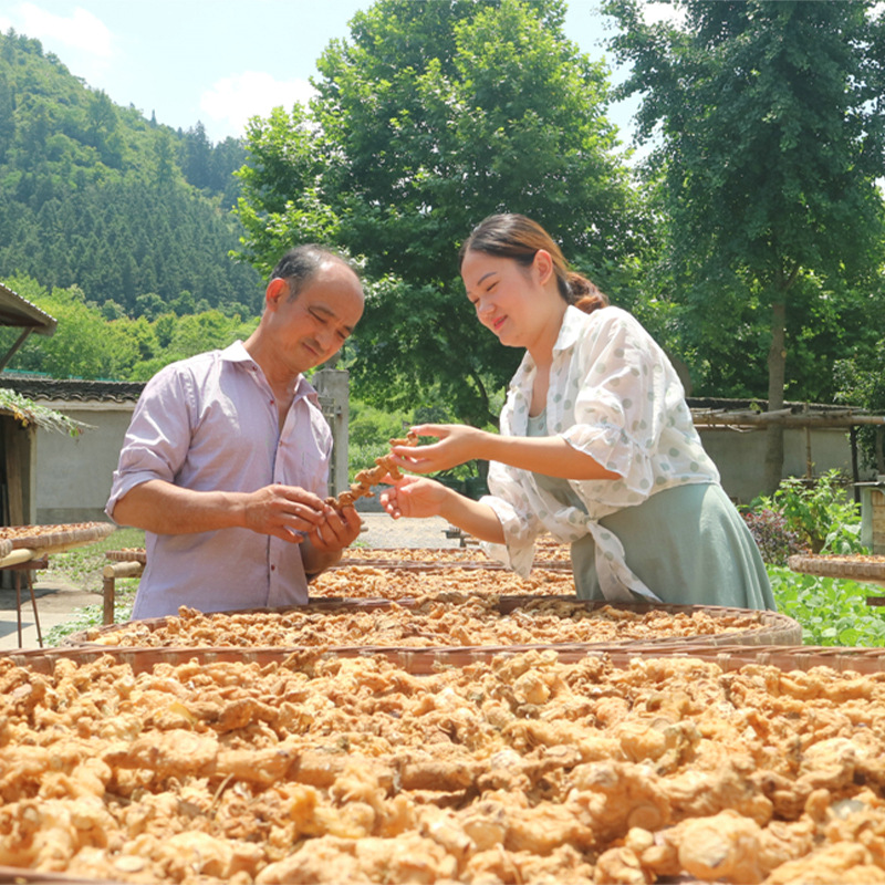 Wild Huang Jing Dried Slices Steamed Sun Dried Polygonatum 500g for Tea and Soup - Image 4