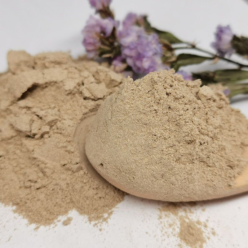 Dang Shen Powder Codonopsis Root Fine Ground Herbal Powder 500g Bulk Culinary and Tea Use - Image 2