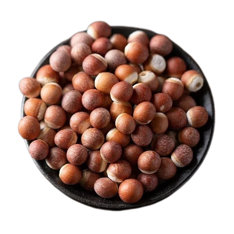 Dried Gorgon Fruit Qian Shi 500g Premium Euryale Seeds for Soup Congee and Herbal Decoction - Image 5