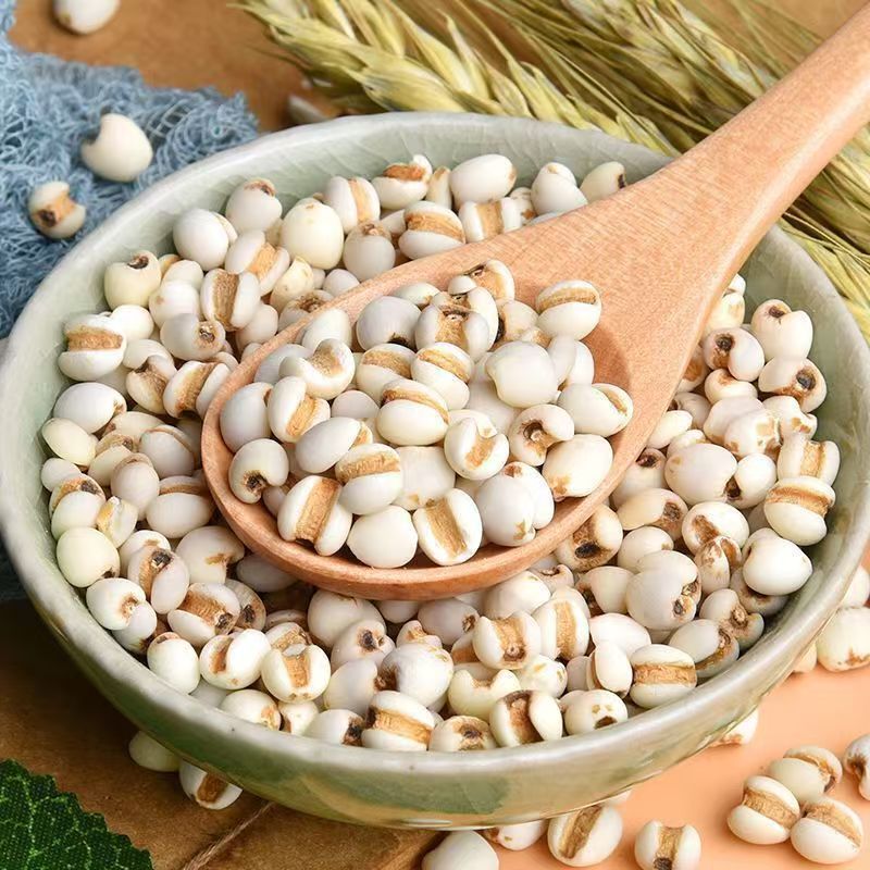 Roasted Coix Seed Powder Yi Yi Ren 薏苡仁 Coix lacryma-jobi 500g Herbal Powder for Drinks and Congee - Image 3